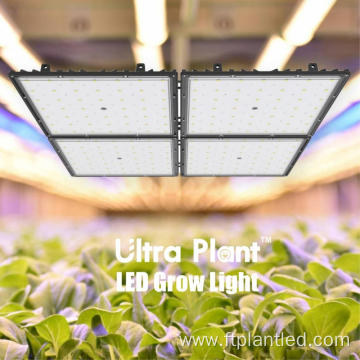 Deep Red Full Spectrum Grow LED for Flowering